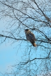 loodusfoto