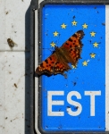 loodusfoto