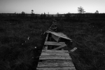 loodusfoto
