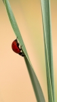 loodusfoto