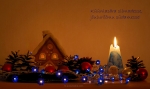 loodusfoto