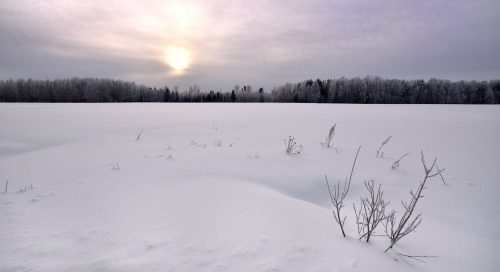 Hõbge härmatis